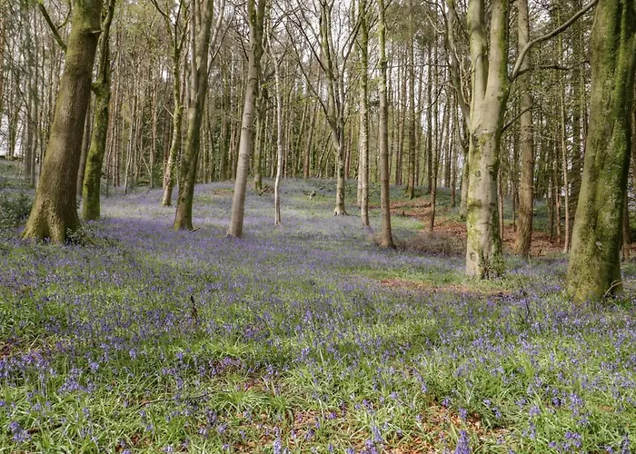Old Stable * Ulverston